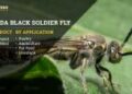 Canada Black Soldier Fly (BSF) Market Worth $18.4 Million by 2028