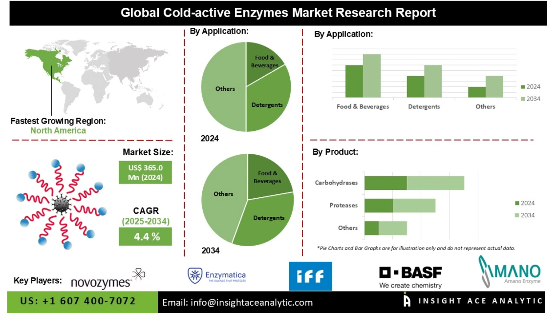 Cold-active Enzymes Market Analysis Driving Sustainability in Food and Detergent Industries