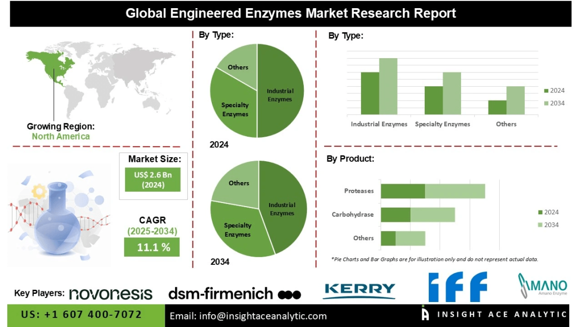 Engineered Enzymes Market Future Prospects Growth Potential and Investment Opportunities – Press Releases Distribution for Market Research Reports