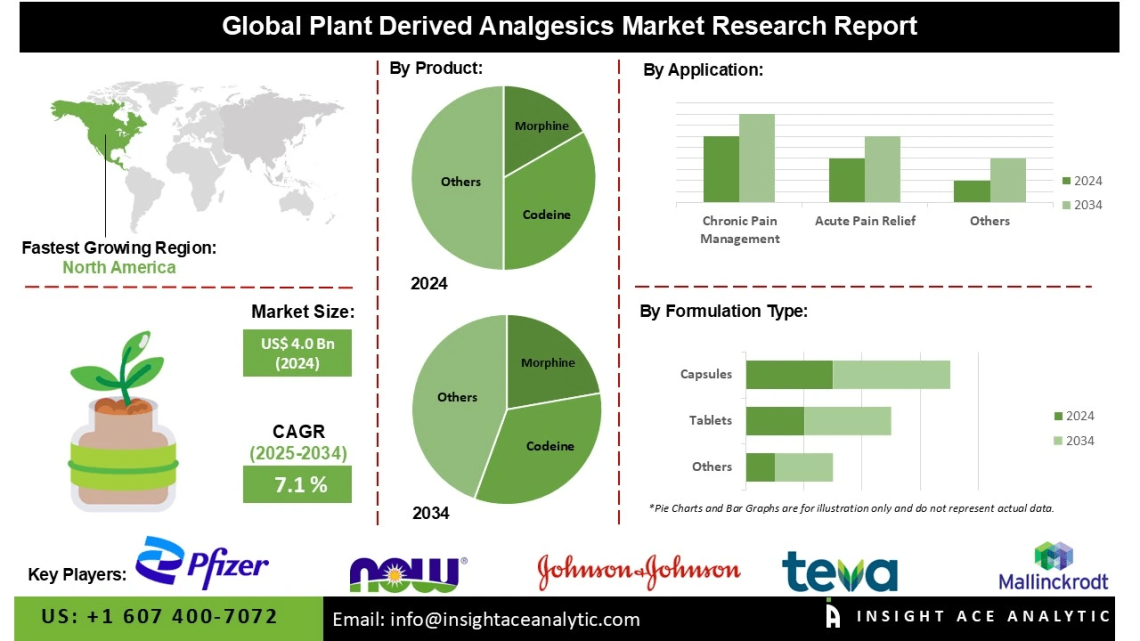 Plant Derived Analgesics Market Outlook Highlighting Rising Consumer Preference for Herbal Medicines