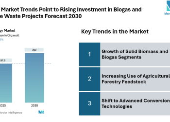 Bioenergy Market to Hit 200 GW by 2030, Driven by Increasing Heat and Fuel Demand, Solid Biomass Growth