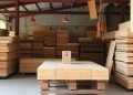 How the Plywood Market Is Building Its Way to USD 86.6 Billion by 2035 – Press Releases Distribution for Market Research Reports