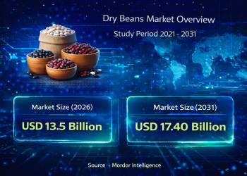 Dry Beans Market Size to Reach USD 17.40 Billion by 2031 – Mordor Intelligence – Press Releases Distribution for Market Research Reports